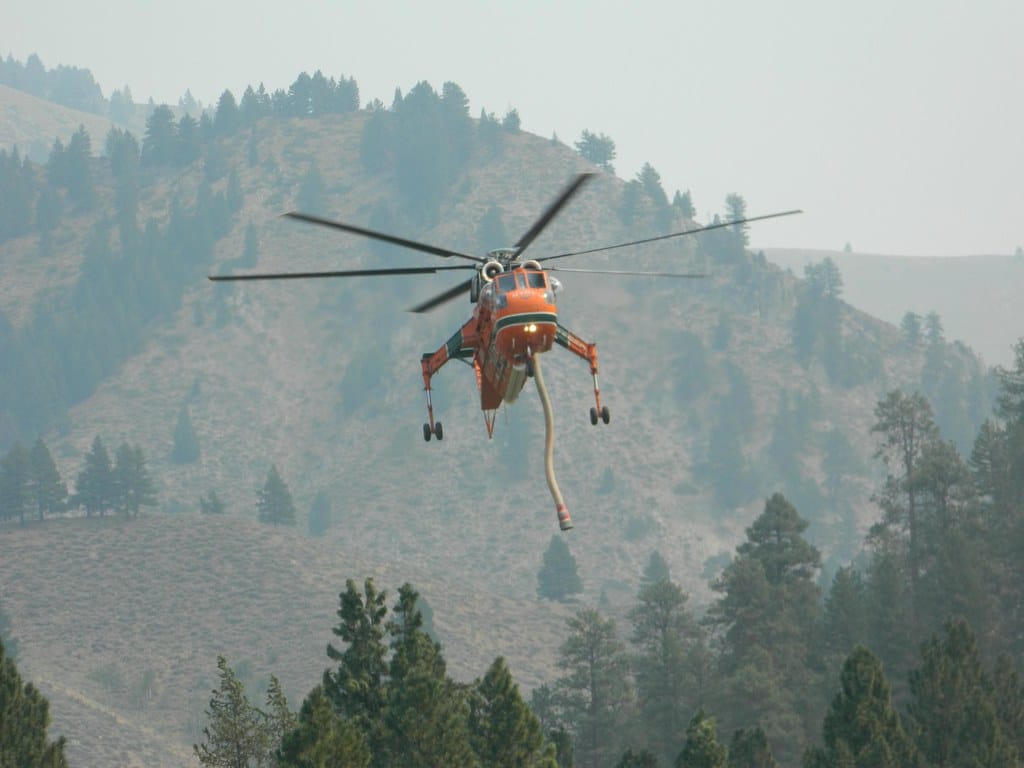 Helicopter in Forest